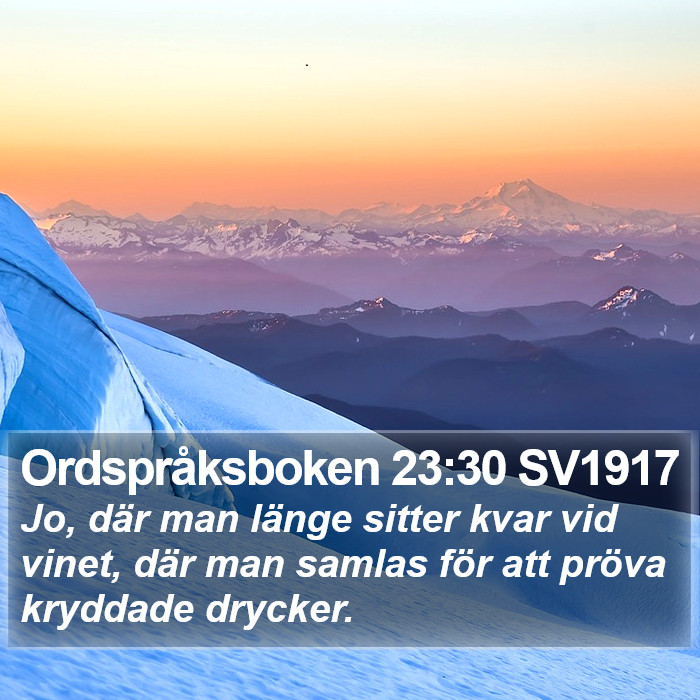 Ordspråksboken 23:30 SV1917 Bible Study