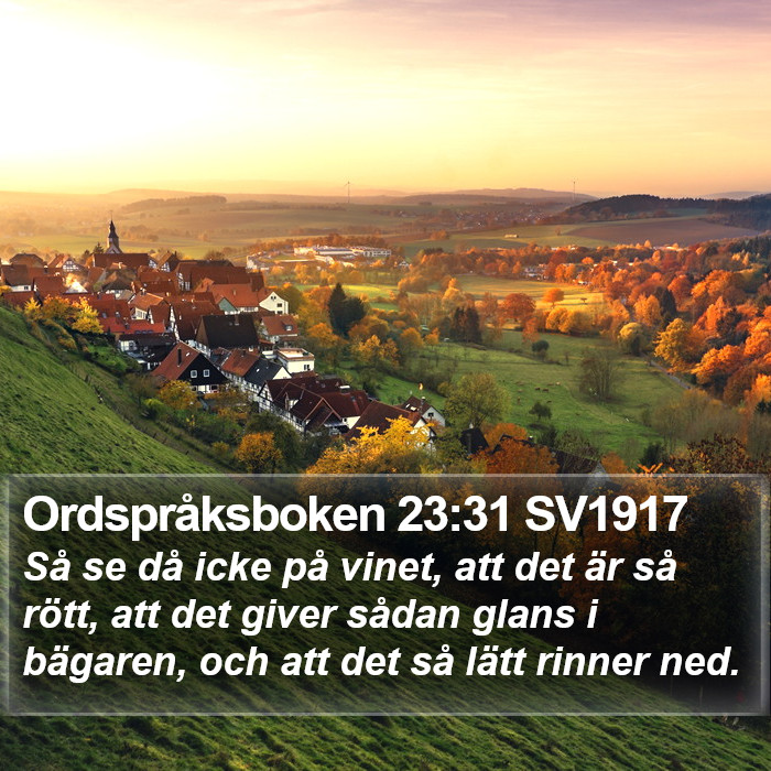 Ordspråksboken 23:31 SV1917 Bible Study