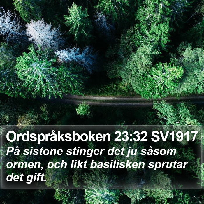 Ordspråksboken 23:32 SV1917 Bible Study