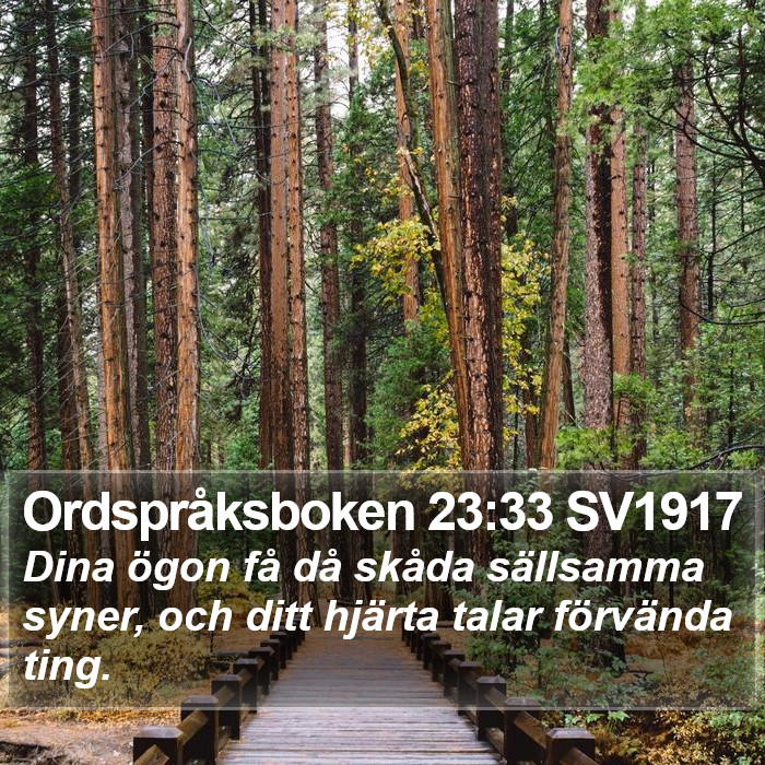 Ordspråksboken 23:33 SV1917 Bible Study