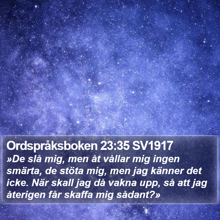 Ordspråksboken 23:35 SV1917 Bible Study