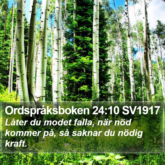 Ordspråksboken 24:10 SV1917 Bible Study