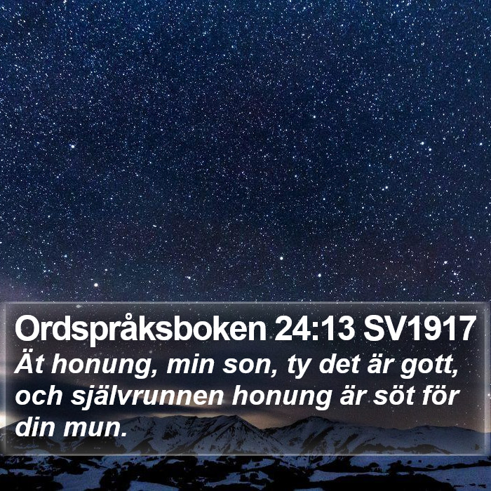 Ordspråksboken 24:13 SV1917 Bible Study