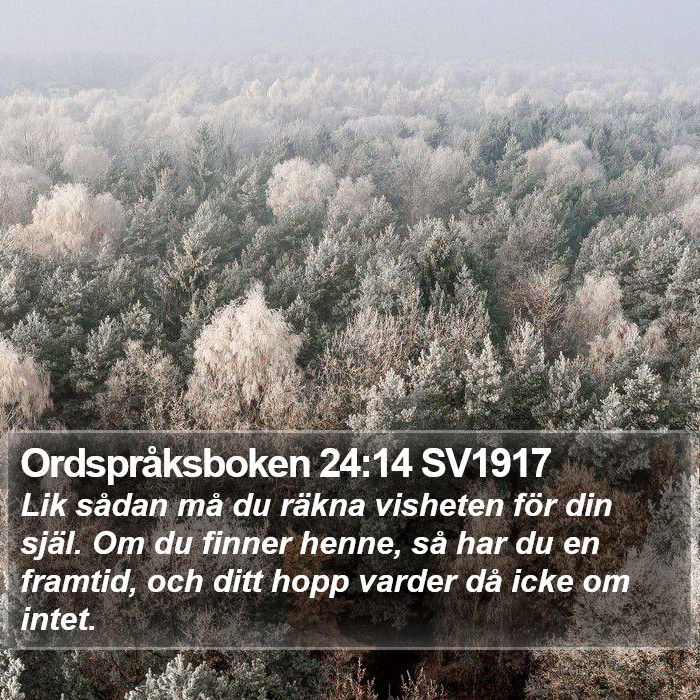 Ordspråksboken 24:14 SV1917 Bible Study