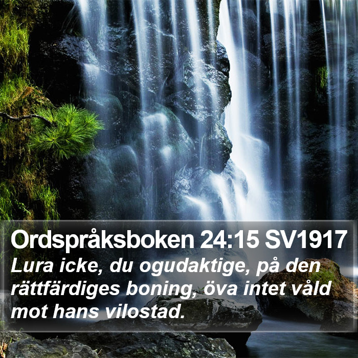 Ordspråksboken 24:15 SV1917 Bible Study