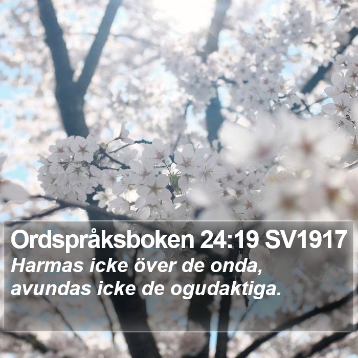 Ordspråksboken 24:19 SV1917 Bible Study