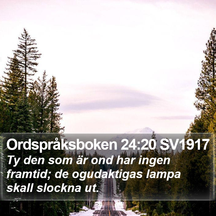 Ordspråksboken 24:20 SV1917 Bible Study