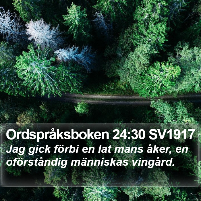 Ordspråksboken 24:30 SV1917 Bible Study