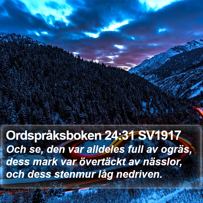 Ordspråksboken 24:31 SV1917 Bible Study