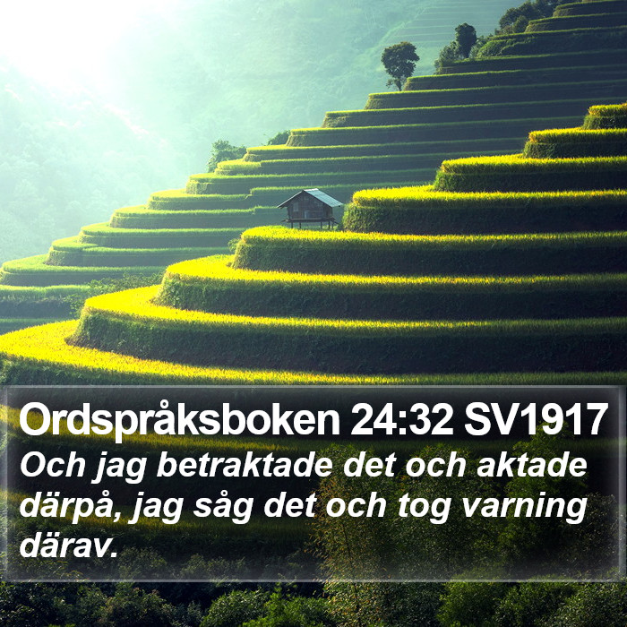 Ordspråksboken 24:32 SV1917 Bible Study