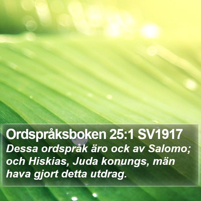 Ordspråksboken 25:1 SV1917 Bible Study