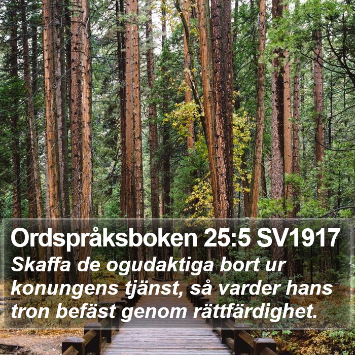 Ordspråksboken 25:5 SV1917 Bible Study