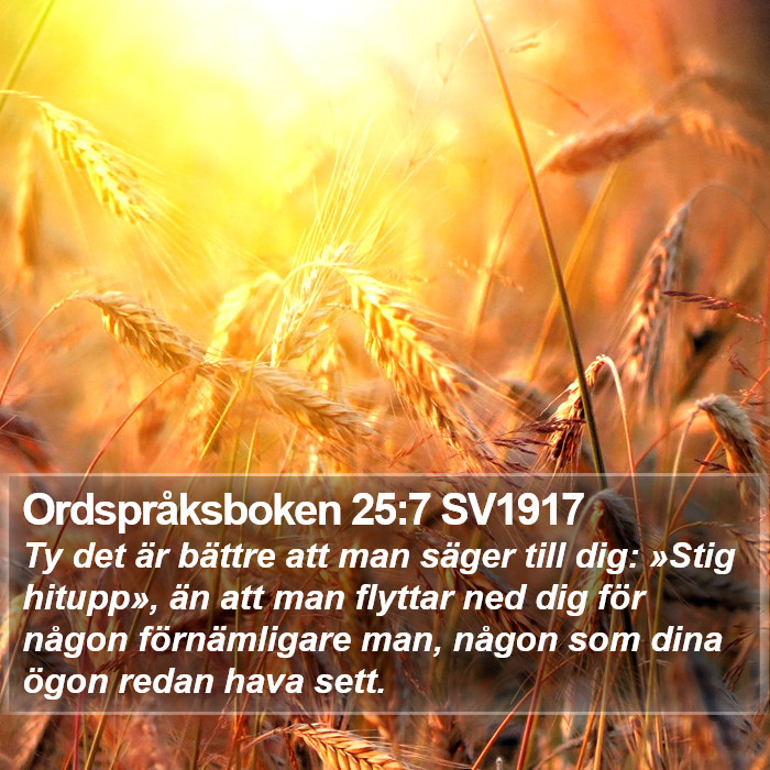 Ordspråksboken 25:7 SV1917 Bible Study