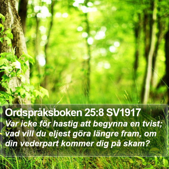 Ordspråksboken 25:8 SV1917 Bible Study