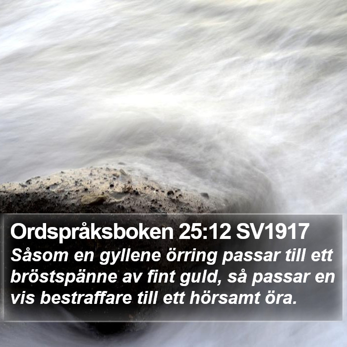 Ordspråksboken 25:12 SV1917 Bible Study