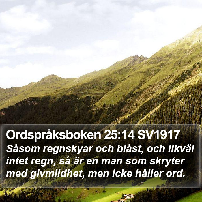 Ordspråksboken 25:14 SV1917 Bible Study