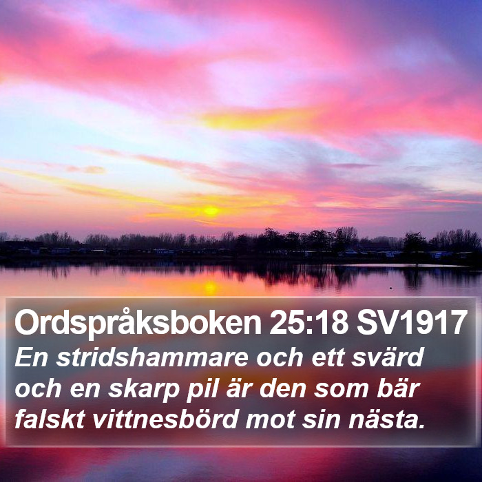 Ordspråksboken 25:18 SV1917 Bible Study