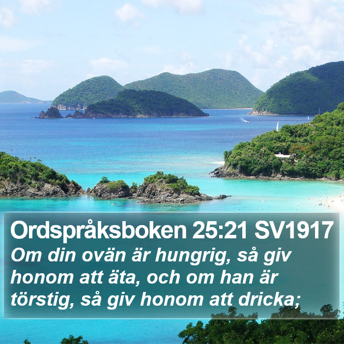 Ordspråksboken 25:21 SV1917 Bible Study