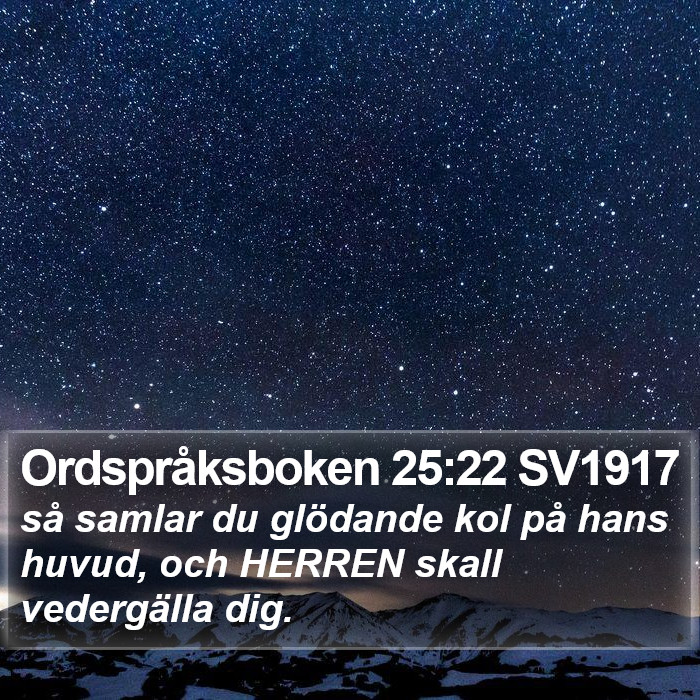 Ordspråksboken 25:22 SV1917 Bible Study