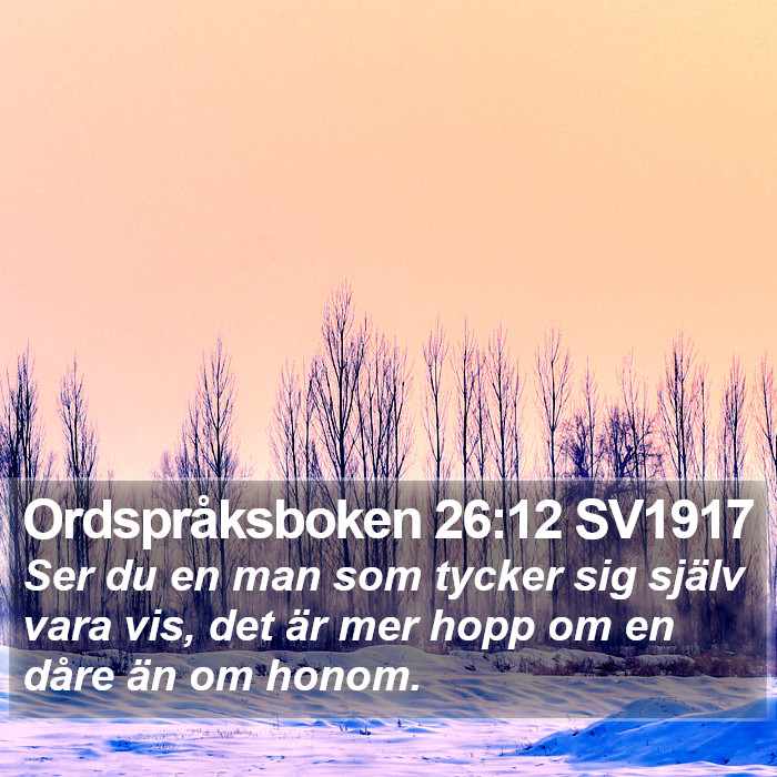 Ordspråksboken 26:12 SV1917 Bible Study