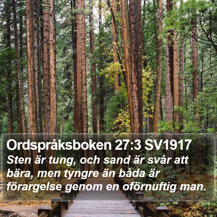 Ordspråksboken 27:3 SV1917 Bible Study