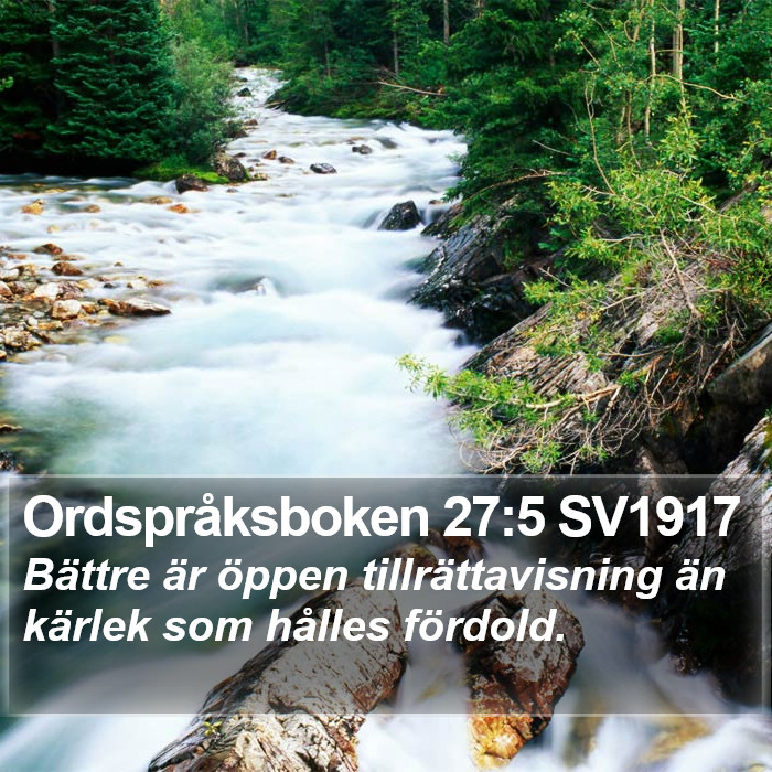 Ordspråksboken 27:5 SV1917 Bible Study