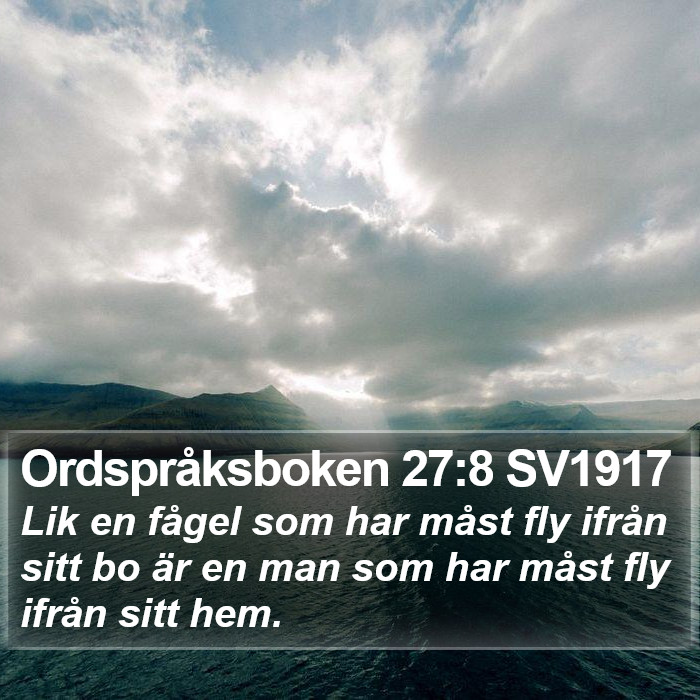 Ordspråksboken 27:8 SV1917 Bible Study