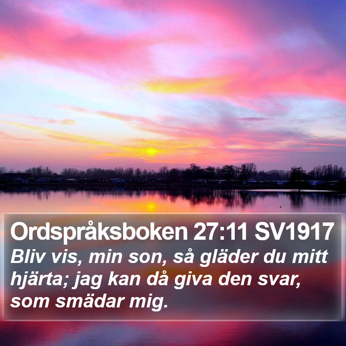 Ordspråksboken 27:11 SV1917 Bible Study