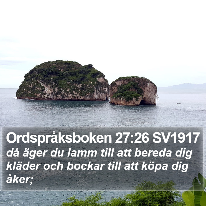 Ordspråksboken 27:26 SV1917 Bible Study