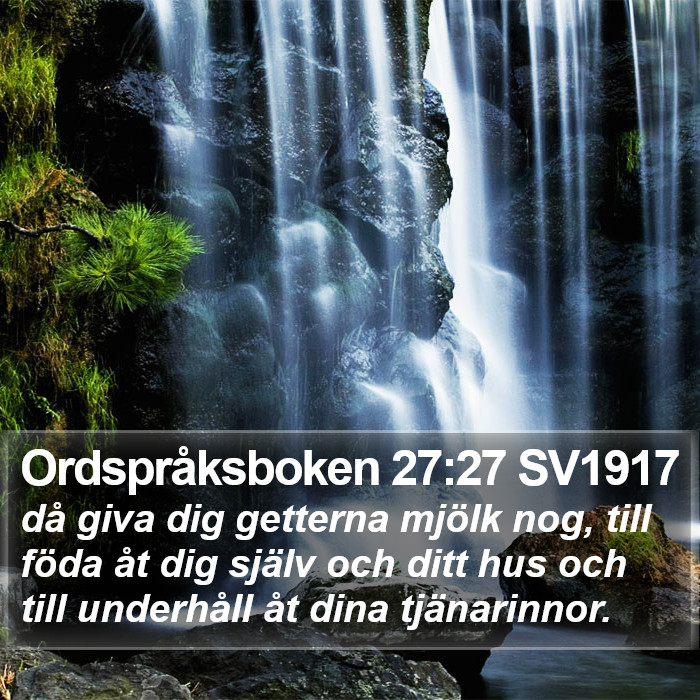 Ordspråksboken 27:27 SV1917 Bible Study