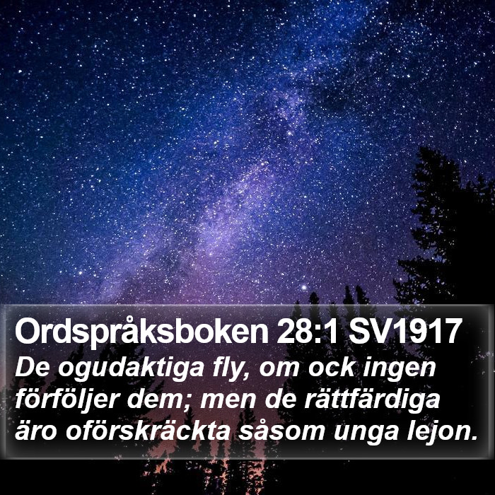 Ordspråksboken 28:1 SV1917 Bible Study