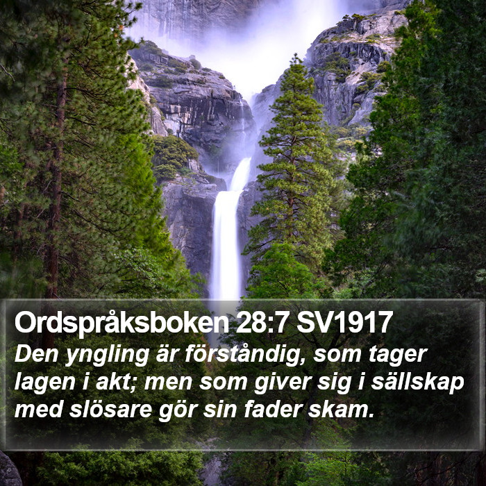 Ordspråksboken 28:7 SV1917 Bible Study