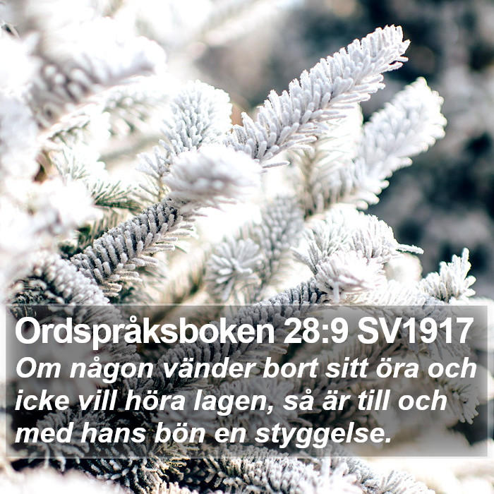 Ordspråksboken 28:9 SV1917 Bible Study