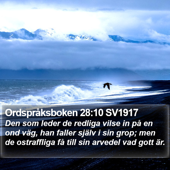 Ordspråksboken 28:10 SV1917 Bible Study
