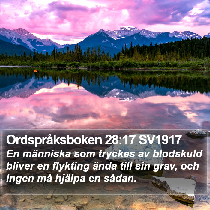 Ordspråksboken 28:17 SV1917 Bible Study