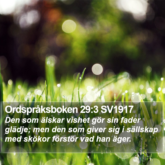 Ordspråksboken 29:3 SV1917 Bible Study