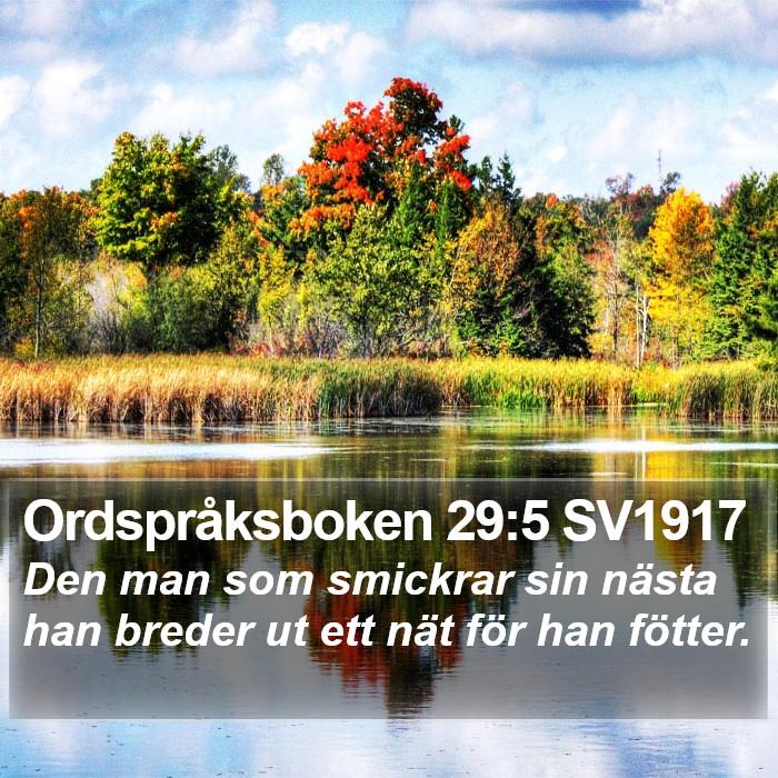 Ordspråksboken 29:5 SV1917 Bible Study