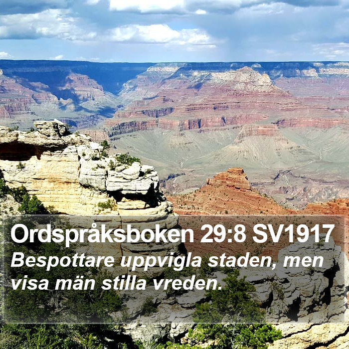 Ordspråksboken 29:8 SV1917 Bible Study