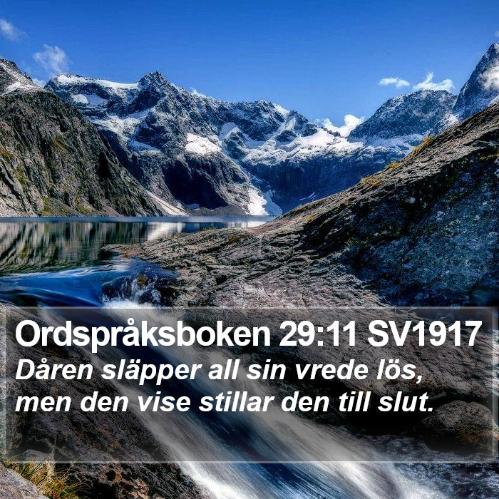 Ordspråksboken 29:11 SV1917 Bible Study