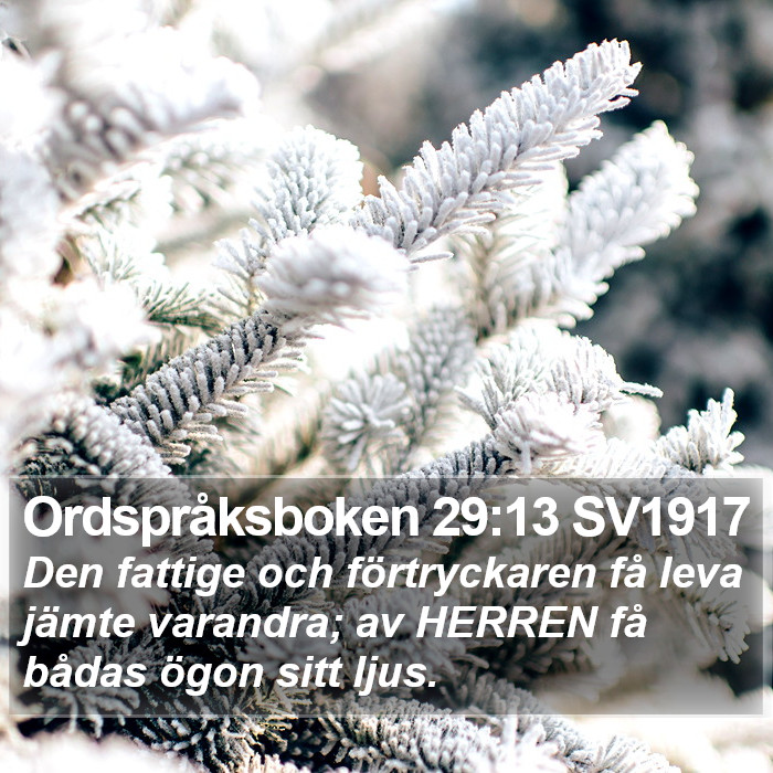 Ordspråksboken 29:13 SV1917 Bible Study