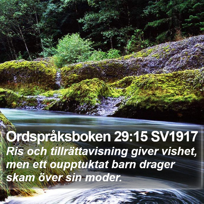 Ordspråksboken 29:15 SV1917 Bible Study