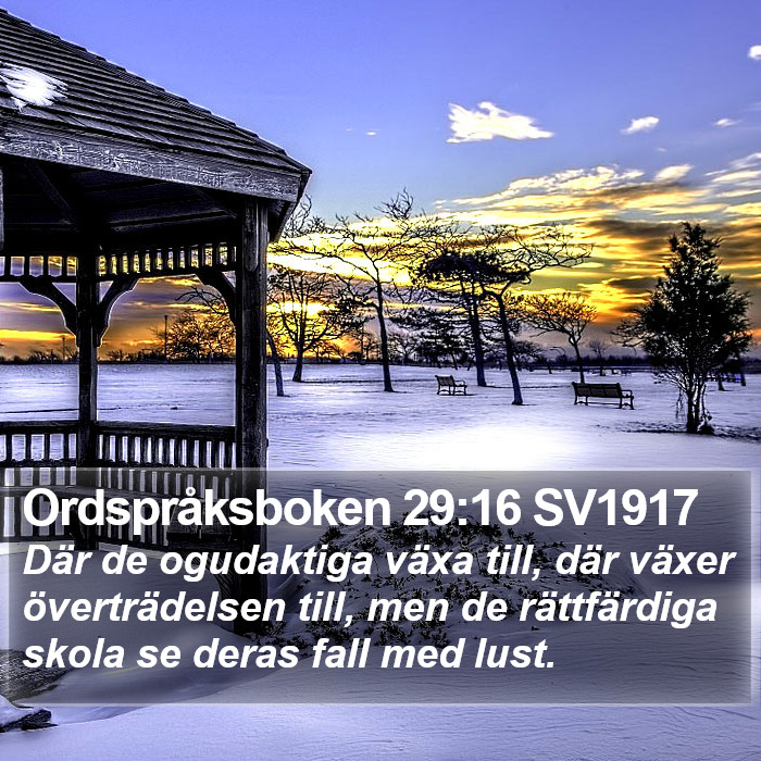 Ordspråksboken 29:16 SV1917 Bible Study