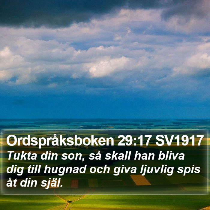 Ordspråksboken 29:17 SV1917 Bible Study