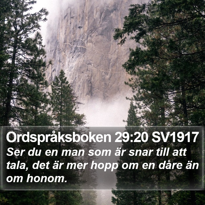 Ordspråksboken 29:20 SV1917 Bible Study