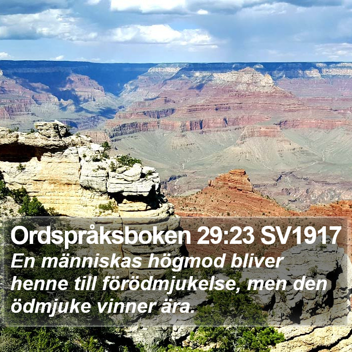 Ordspråksboken 29:23 SV1917 Bible Study