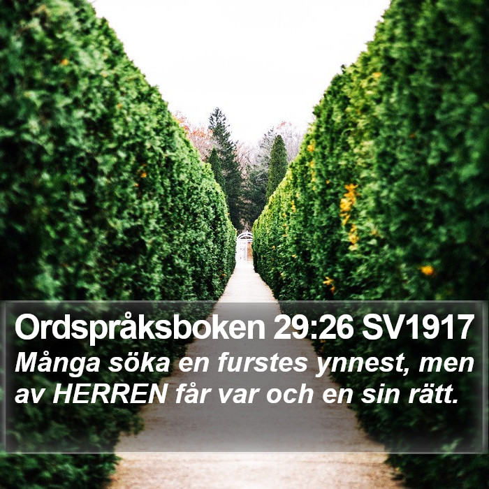 Ordspråksboken 29:26 SV1917 Bible Study