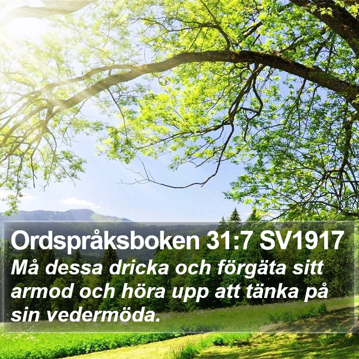 Ordspråksboken 31:7 SV1917 Bible Study