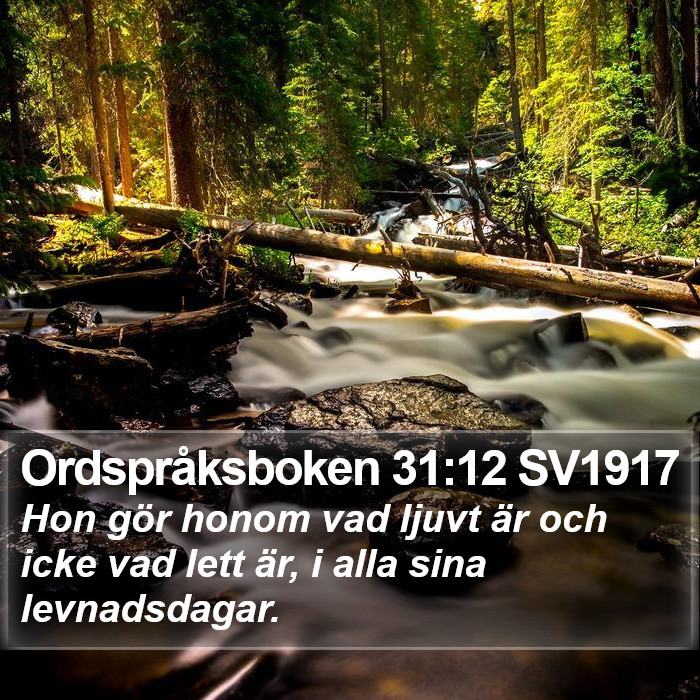 Ordspråksboken 31:12 SV1917 Bible Study