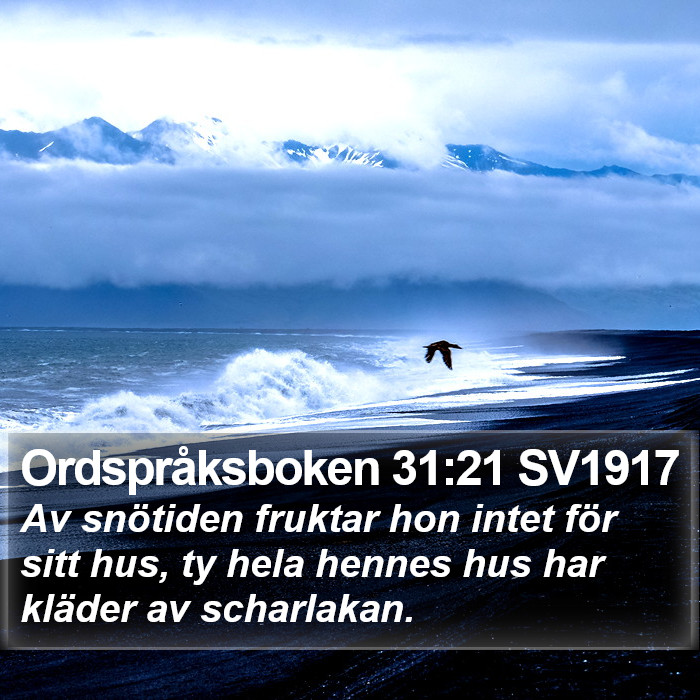 Ordspråksboken 31:21 SV1917 Bible Study