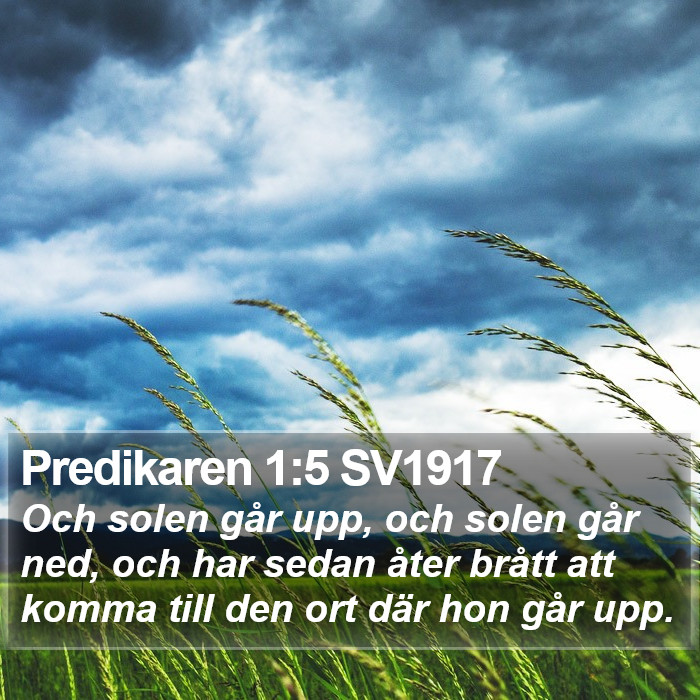 Predikaren 1:5 SV1917 Bible Study